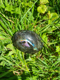 Labradoriet palmsteen 30