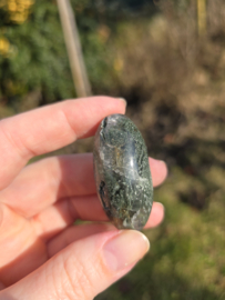 Lodoliet met rutiel shiva