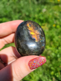 Labradoriet palmsteen 48