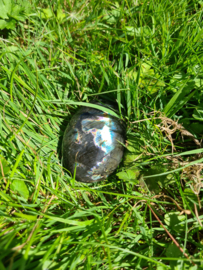 Labradoriet palmsteen 40