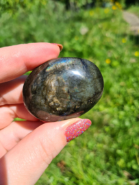 Labradoriet palmsteen 38