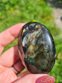 Labradoriet palmsteen 17