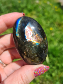 Labradoriet palmsteen 16