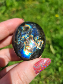 Labradoriet palmsteen 22