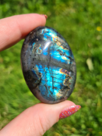 Labradoriet palmsteen 8