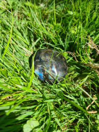 Labradoriet palmsteen 54