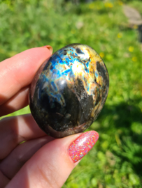 Labradoriet palmsteen 52