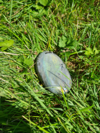 Labradoriet palmsteen 42