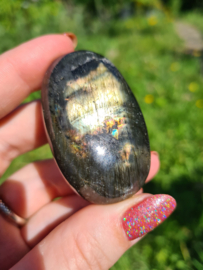 Labradoriet palmsteen 53