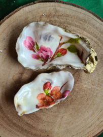 Schelpen decoratie setje 12