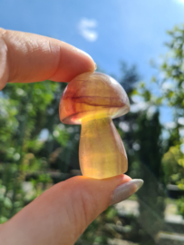 Fluoriet paddenstoel 3