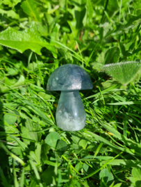 Fluorite mushroom 4