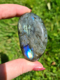 Labradoriet palmsteen 14