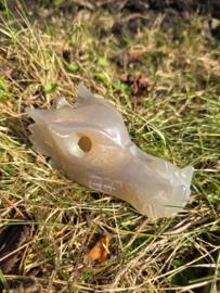 Aura coated agaat draak