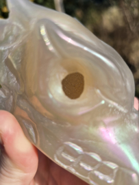 Aura coated agaat draak