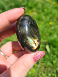 Labradoriet palmsteen 19