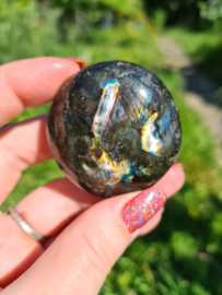 Labradoriet palmsteen 54