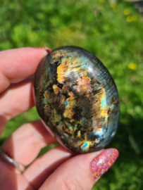 Labradoriet palmsteen 25