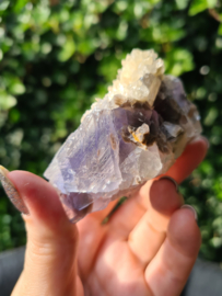 Fluorite with dog tooth calcite (blue)