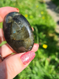 Labradoriet palmsteen 69