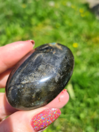 Labradoriet palmsteen 16