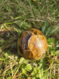 Golden healer Rookkwarts bol