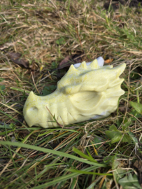 Gele serpentijn draak