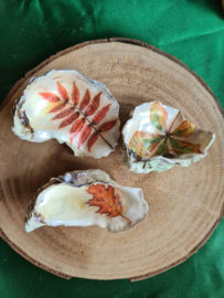 Schelpen decoratie setje 3