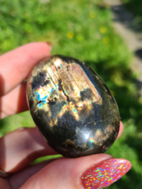 Labradoriet palmsteen 62