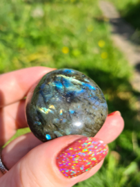 Labradoriet palmsteen 66