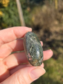 Lodoliet met rutiel shiva