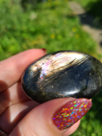 Labradoriet palmsteen 56