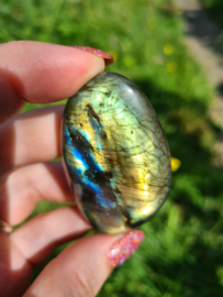 Labradoriet palmsteen 67