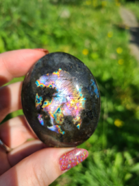 Labradoriet palmsteen 65