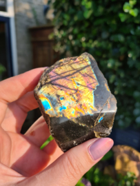 Labradorite free form (yellow/purple)