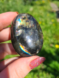 Labradoriet palmsteen 51