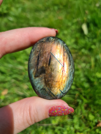 Labradoriet palmsteen 11