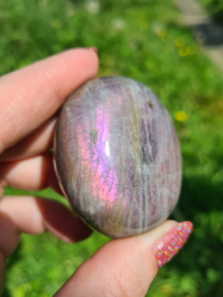 Labradoriet palmsteen 28