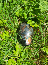 Labradoriet palmsteen 18