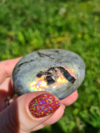 Labradoriet palmsteen 49