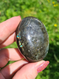 Labradoriet palmsteen 25