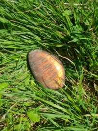 Labradoriet palmsteen 6