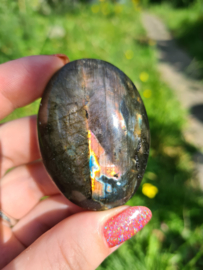 Labradoriet palmsteen 69