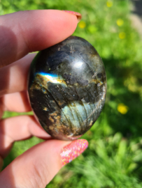 Labradoriet palmsteen 63