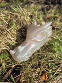 Aura coated agaat draak