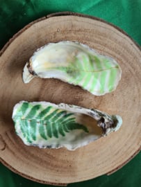 Schelpen decoratie setje 5