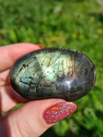 Labradoriet palmsteen 50