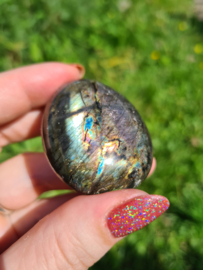 Labradoriet palmsteen 46