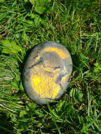 Labradoriet palmsteen 49