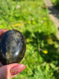 Labradoriet palmsteen 64